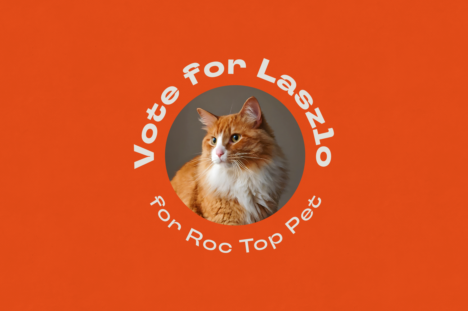 Vote for Laszlo logo